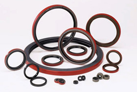 National 710695 Oil Seal 